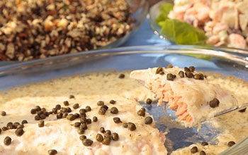 Everyday-salmon-cream-sauce-dijon