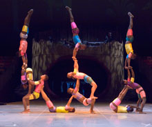 cirque zuma zuma