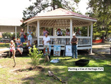 Lunch and Learn Tree Planting
