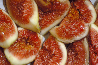 garden Figs