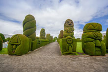 garden topiaries