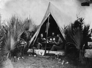 roots soldiers with fronds