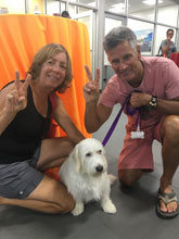 pet rescue SubieStock 1 Peace Love PetRescue