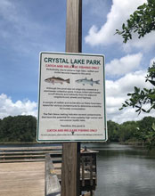 field trips crystal lake 2