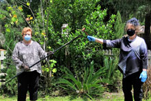 beaufort garden club