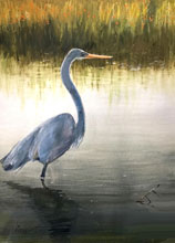 Petite Bill Winn The Fledgling wc