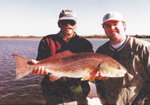 David Murray Redfish