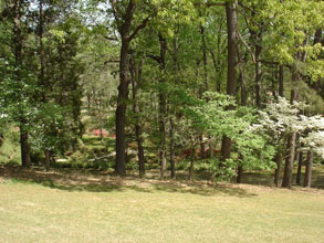 garden cemetery