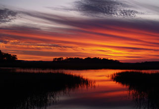 Westcott 2nd The Colors Behind the Marsh Kelsey Buck 2