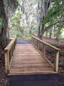 cypress-wetlands-bridge