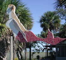 Fish-Camps-Lady-in-Waiting