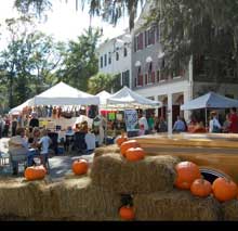 harvest-fest-pumpkins