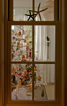 Hones-Vantiem-window