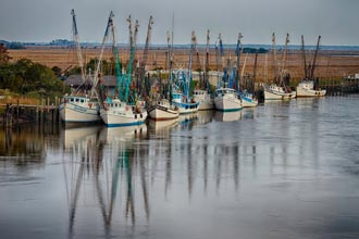 LoCo-Portrait-of-a-Dock