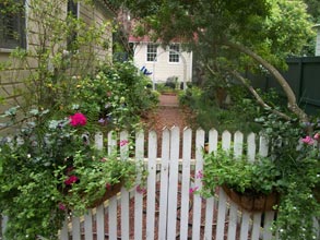 garden-a-day