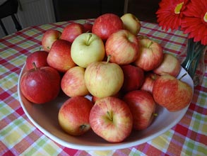 everyday-apples