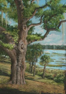 frederick-oak-on-the-bluff