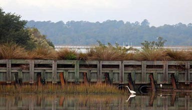 spanish-moss-tidal-pool-620x360
