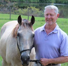 Steve--Horse