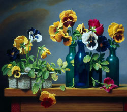 garden-Grow-pansies-in-winter