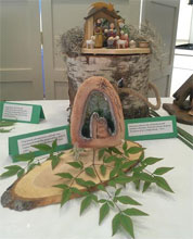 nativity-2