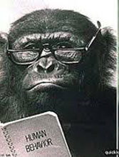monkey-1
