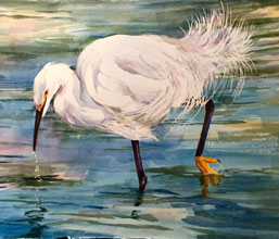 BAA-Egret