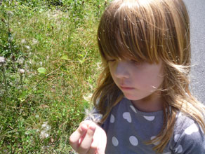 garden-clara-making-a-wish