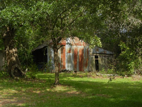 garden2