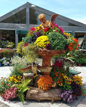 garden