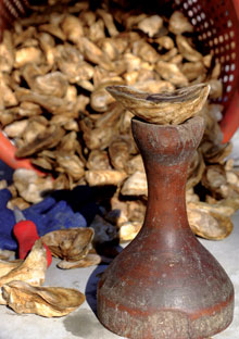 Frank-Oyster-on-a-Pedestal