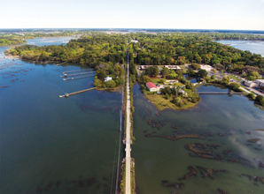 Spanish Moss Trail Aerial