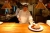 The Chef